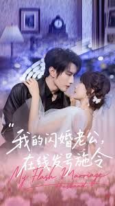 我的闪婚老公,在线发号施令