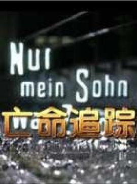 亡命追踪(国语版)